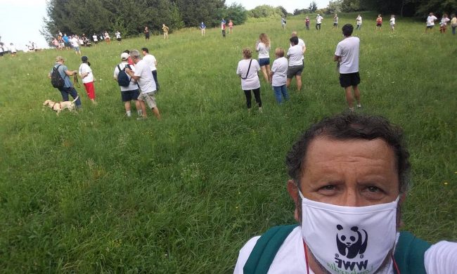 L’appello del WWF: “No alle mascherine usa e getta a scuola”