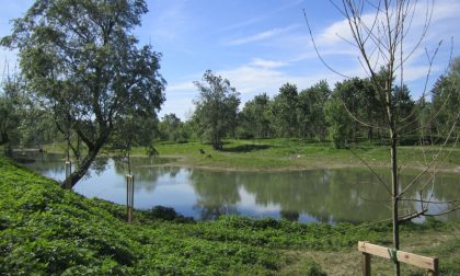 “BioBlitz” nel Parco del Po e del Morbasco: un giorno alla scoperta della biodiversità e della flora e della fauna autoctone