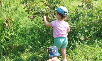 Suona la campanella… primo giorno di scuola all’agrinido Piccoli Frutti