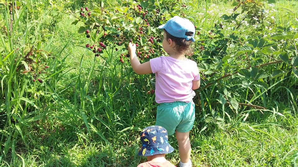 Suona la campanella… primo giorno di scuola all’agrinido Piccoli Frutti