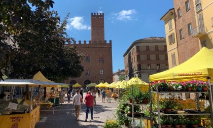 Domenica 13 settembre arriva il Mercato di Campagna Amica in piazza Stradivari
