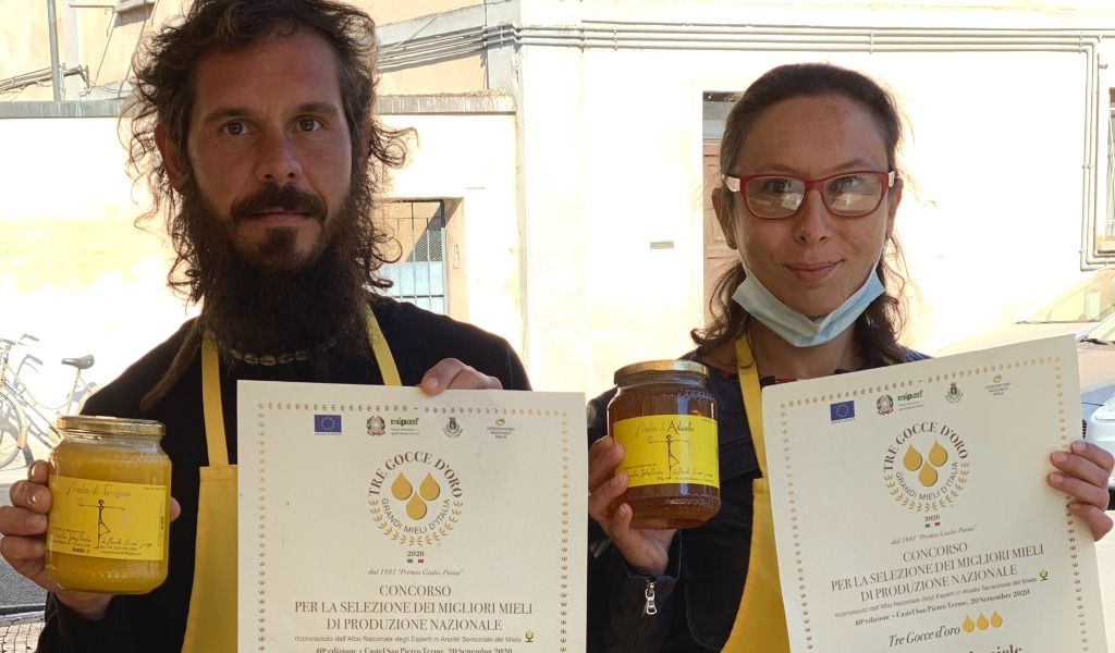 Manuel Manelli, apicoltore cremasco da primato
