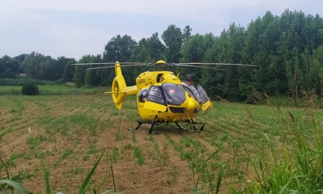 Un daino attraversa improvvisamente la strada: motociclista 50enne in ospedale in elisoccorso