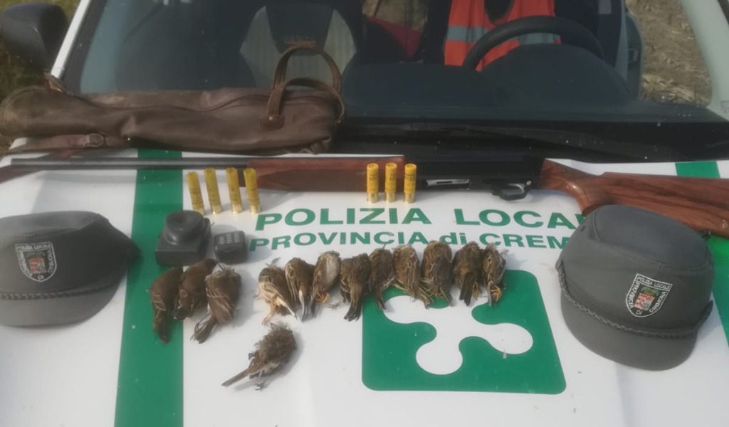 Abbatte diversi esemplari di specie protetta: cacciatore nei guai a Castelvisconti