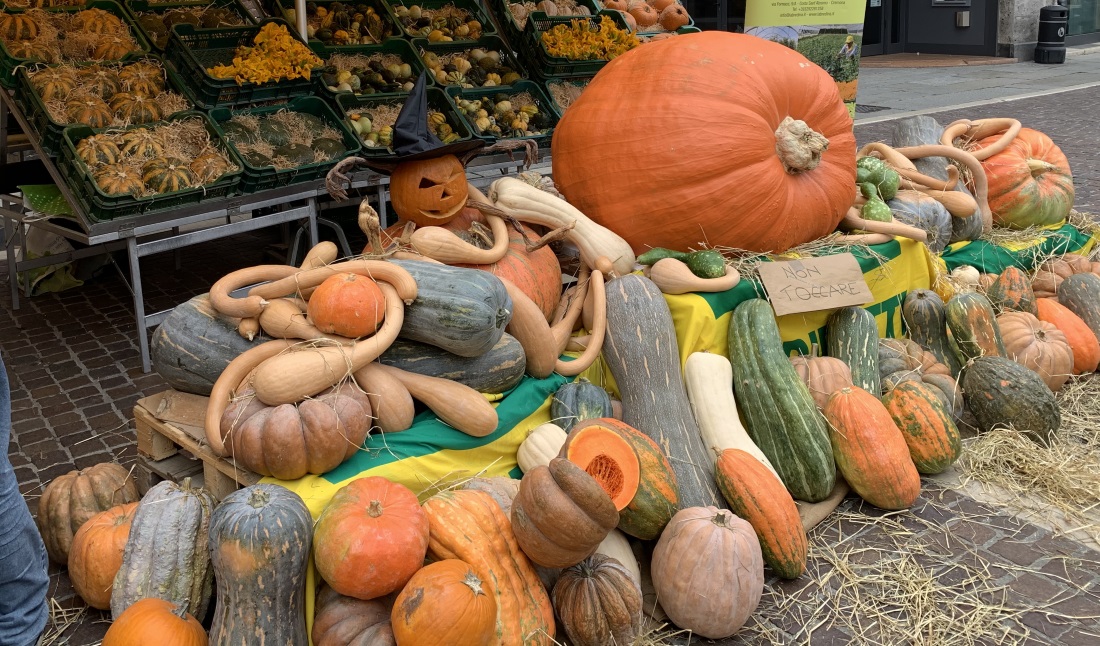 Campagna Amica, la giornata della zucca domenica in piazza Stradivari
