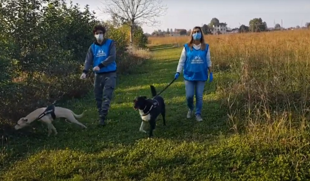 Covid e animali: 200 cuccioli presi in carico dai volontari dei padroni malati TRE STORIE DI SOLIDARIETA’ – VIDEO