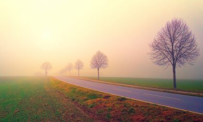 Cieli perlopiù soleggiati, con qualche nebbia o foschia | Meteo weekend