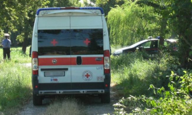 Pota gli alberi e uno lo colpisce alla testa, gravissimo in ospedale