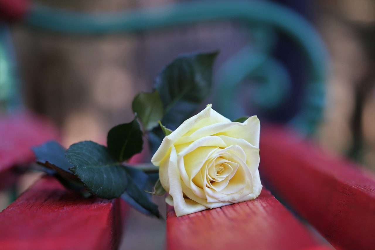 Giornata Internazionale per l’eliminazione della violenza contro le donne