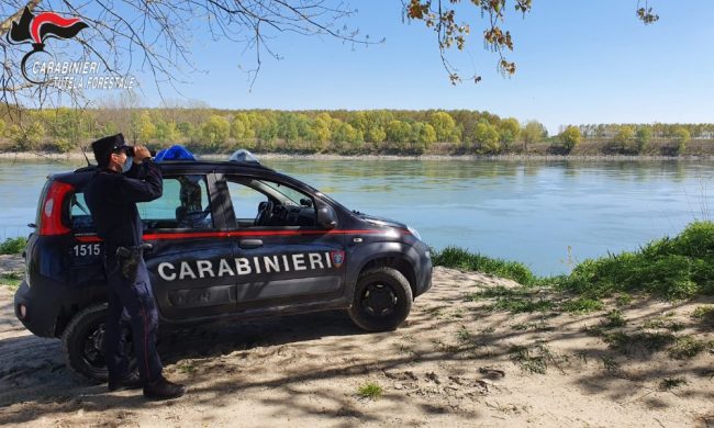 Aggredisce una donna sull’argine del Po: 78enne arrestato per violenza sessuale