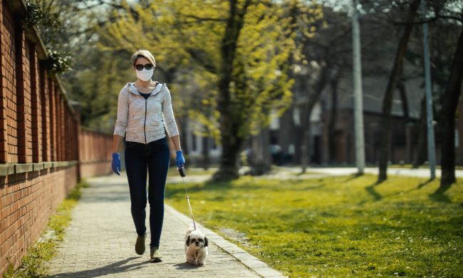 Natale a spasso con il cane in zona rossa: ecco il vademecum