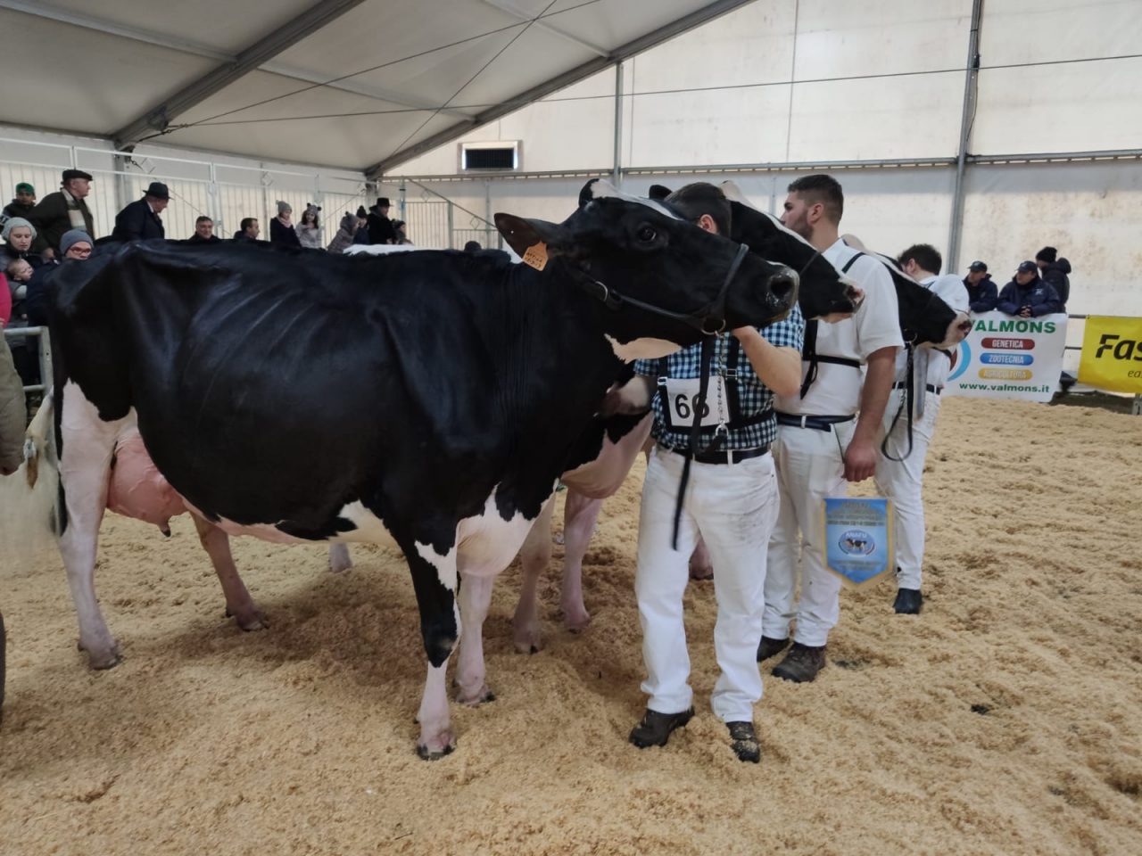 Fiera di Sant’Apollonia: nel 2021 si svolgerà in versione ridotta causa Covid-19