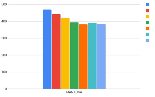 mantova