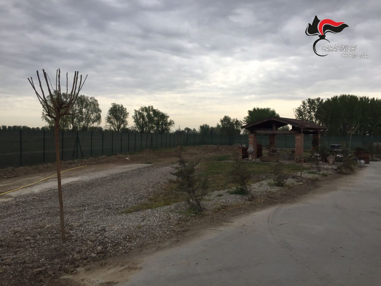 Ventenne denunciato per aver rubato…10 alberi