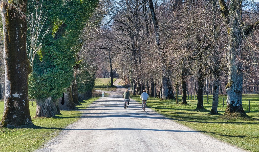 Cremona by bike: una nuova mappa per tornare in sella e scoprire il territorio
