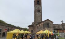 Campagna Amica a Pizzighettone: sabato mercato dedicato alla Giornata della Biodiversità