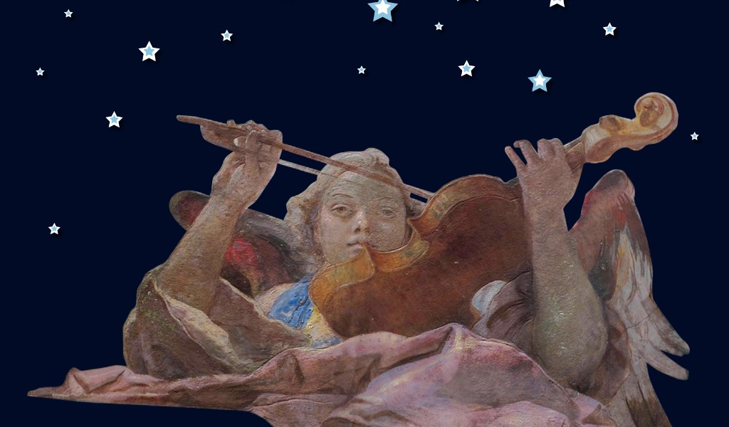 Apertura serale del Museo del Violino in occasione della Notte Europea dei Musei 