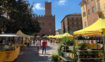 Dopo otto mesi d’assenza Campagna Amica torna in piazza Stradivari a Cremona