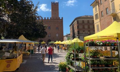 Dopo otto mesi d’assenza Campagna Amica torna in piazza Stradivari a Cremona