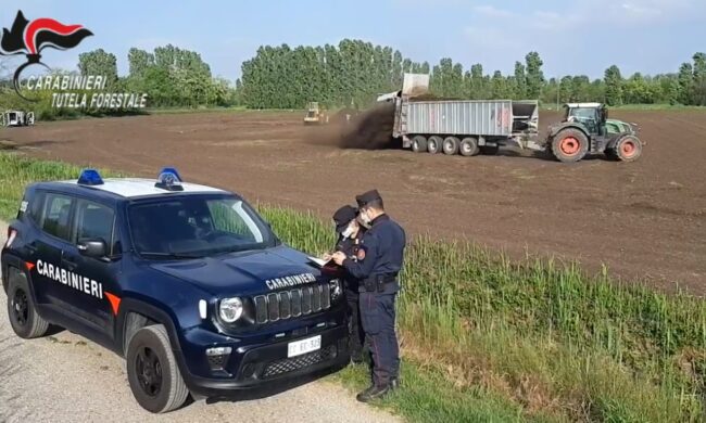 Fanghi tossici, vietato l’accesso ai campi velenosi e la raccolta del grano