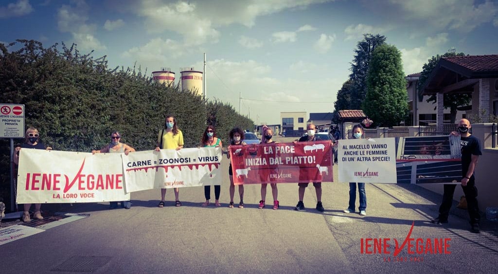 La protesta delle Iene Vegane torna al Mattatoio Zema di Salvirola