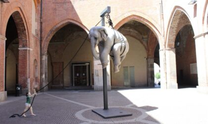 In cortile Federico II presentazione della scultura monumentale "Marta e l’elefante"
