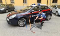 In auto con mazza da baseball, flessibili e piede di porco: denunciato