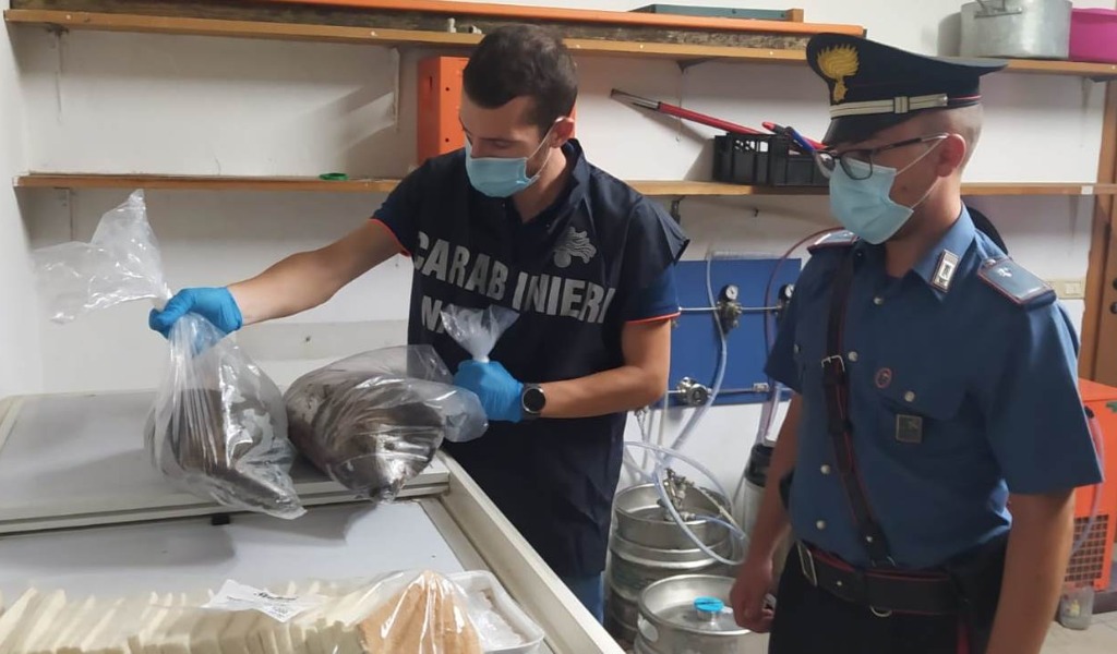 Carcasse di nutrie surgelate tra altri alimenti destinati al pubblico: barista denunciato