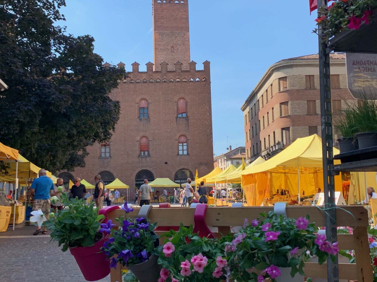 Campagna Amica domani in piazza Stradivari a Cremona