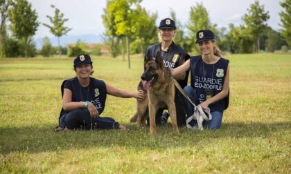 Vuoi diventare Guardia Zoofila Oipa? A Cremona c'è il corso gratuito