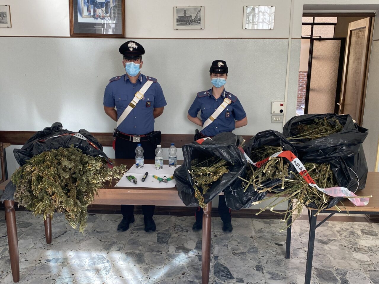 In un capannone in disuso 10 chili di marijuana e 21 piante di canapa