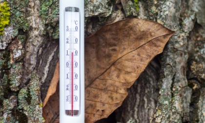 Dopo la pioggia torna il sereno e risalgono le temperature | Meteo Lombardia