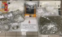 Spaccio nei locali della movida cremonese: sequestrati quasi 2 chili di marijuana e cocaina