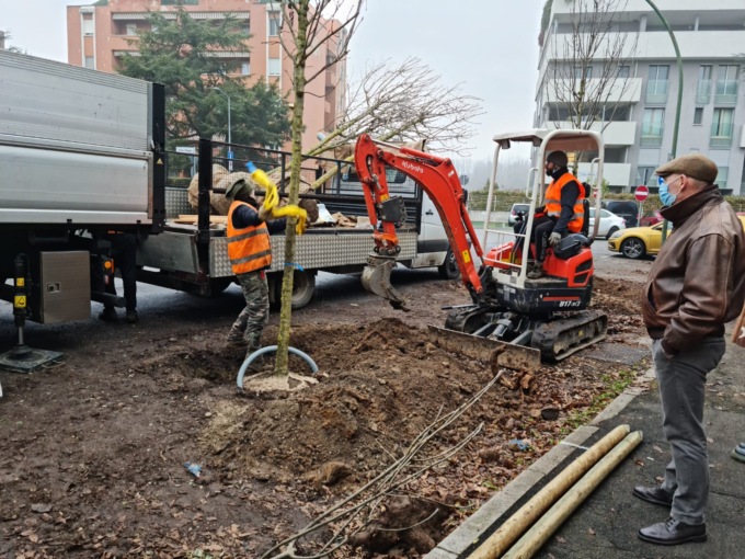 Iniziati gli interventi di piantumazione al Quartiere Po