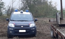 Monitoraggio ambientale e forestale e repressione illeciti: un anno di attività dei Carabinieri Forestali di Cremona