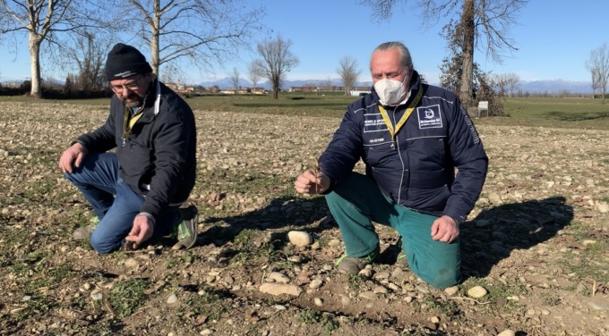 La denuncia degli agricoltori: “Nutrie, animali voraci e pericolosi: un flagello”