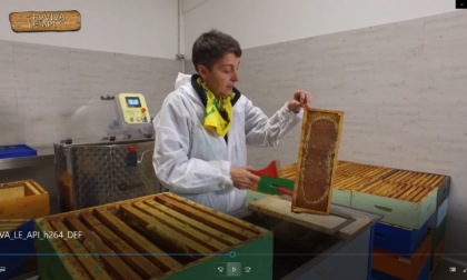 “Evviva le api”, incontro tra gli apicoltori e gli alunni