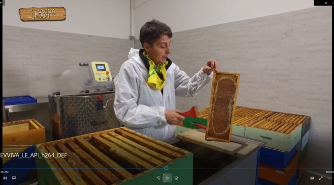 “Evviva le api”, incontro tra gli apicoltori e gli alunni