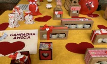 San Valentino con Campagna Amica domenica a Cremona in piazza Stradivari