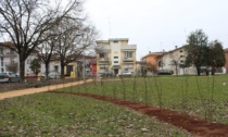 Nuovi alberi e l'area sgambamento cani nel riqualificato parco intitolato a mons. Maurizio Galli