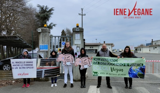 Presidio di Iene Vegane al mattatoio Pini di Castelverde
