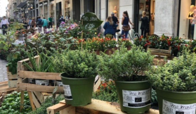Cosa fare a Cremona e provincia: gli eventi del weekend (23 – 24 e 25 aprile 2022)