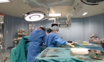 Donazione organi, Cremona riferimento nazionale: qui donati la metà dei polmoni trapiantati negli ultimi cinque anni