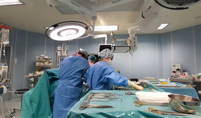 Donazione organi, Cremona riferimento nazionale: qui donati la metà dei polmoni trapiantati negli ultimi cinque anni
