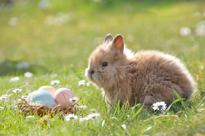Cosa fare a Cremona e provincia: gli eventi del weekend di Pasqua e Pasquetta (16 – 17 e 18 aprile 2022)