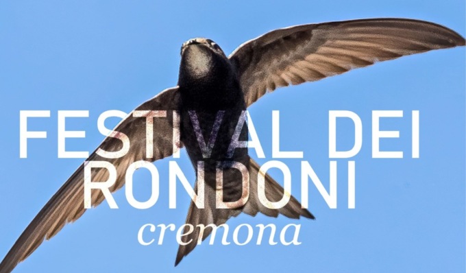 Cremona ospita il Festival dei Rondoni, osservazione degli uccelli in città