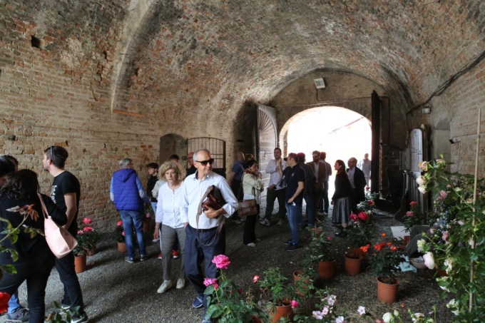 Torna la “Tre Giorni in Piazza” a Pizzighettone: mostra mercato, serate ed eventi