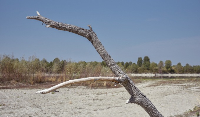 Caldo record e siccità: riserve idriche ai minimi storici in Lombardia
