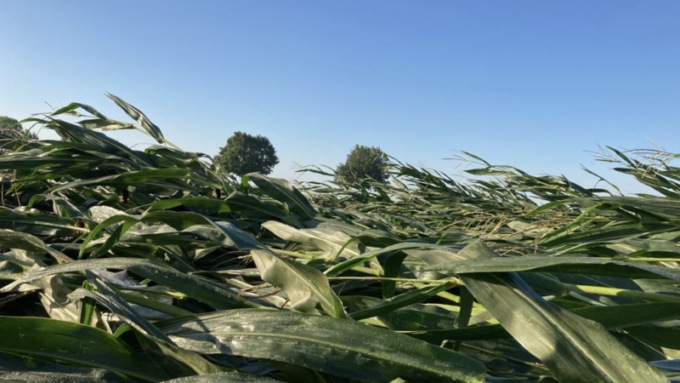 Coldiretti Cremona conta i danni della tromba d’aria. Lo sconforto degli agricoltori: “Non bastava la siccità”