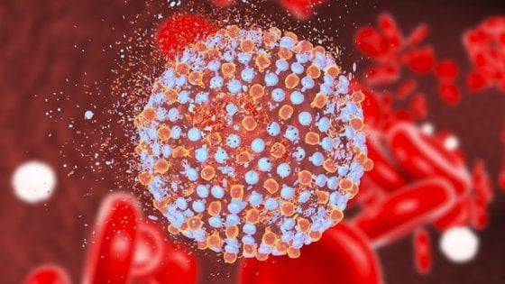 L'immagine del virus da Epatite C o HCV